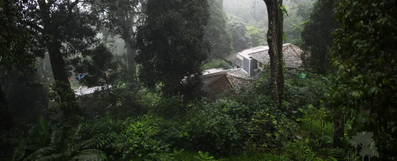 Tall Trees, Munnar