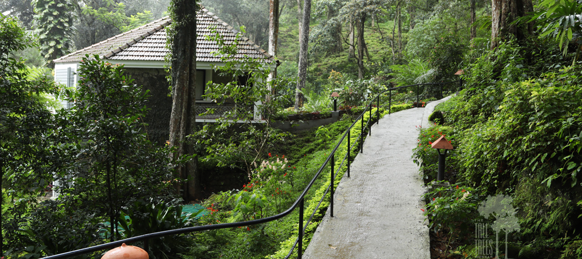 Tall Trees, Munnar