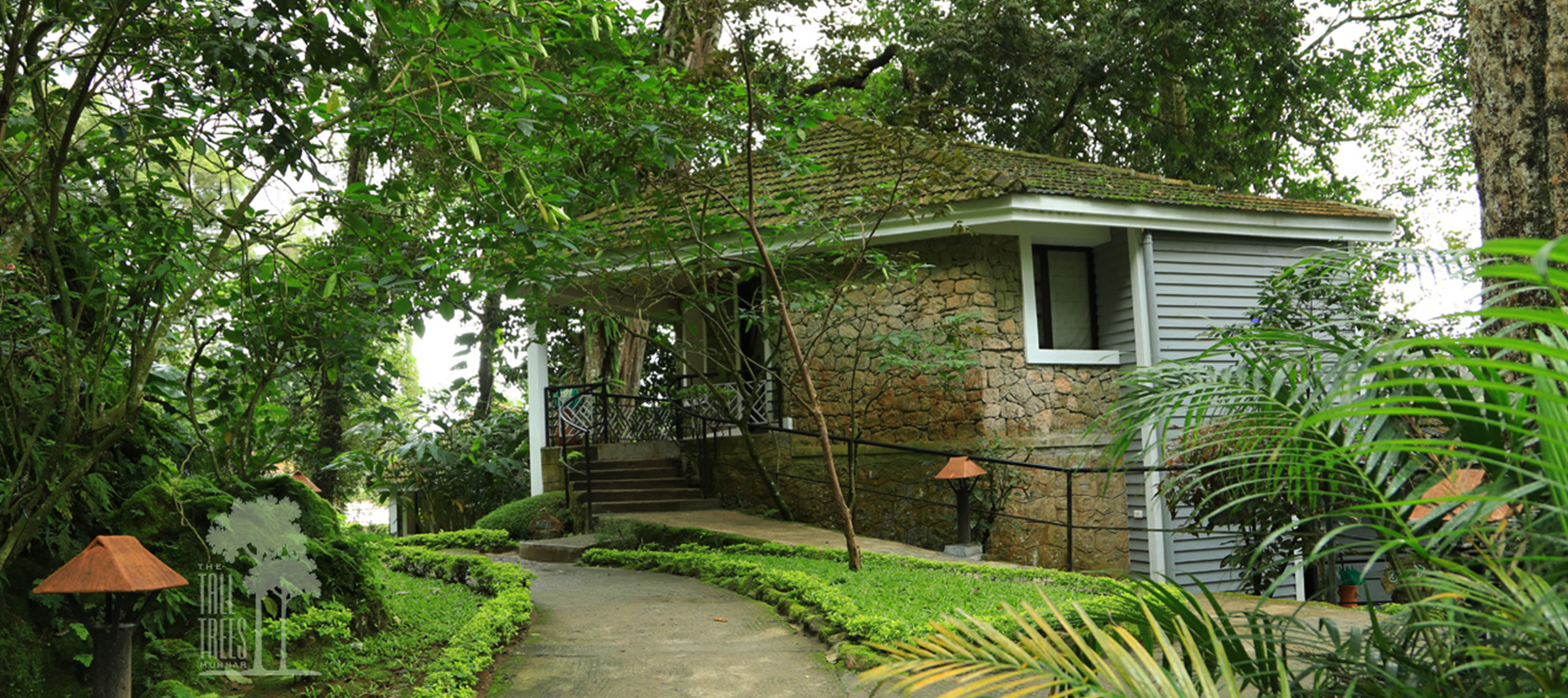 Tall Trees, Munnar